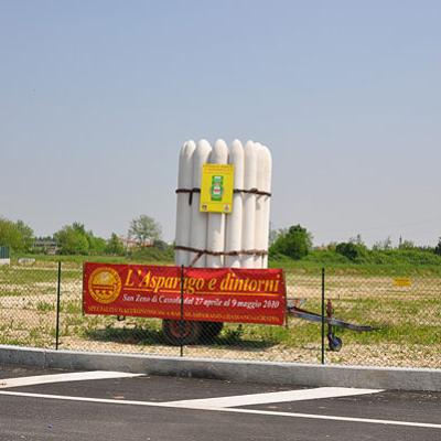 Bassanonet.it Rossi e verdi: la “guerra dei sparasi”