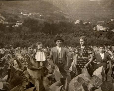 Bassanonet.it Storie e memorie di una foglia di tabacco