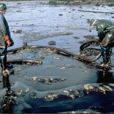Bassanonet.it La corsa alla green economy
