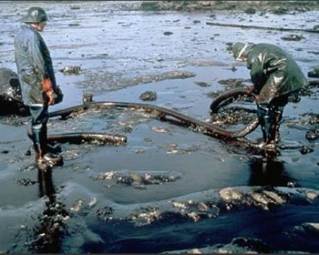 Bassanonet.it La corsa alla green economy