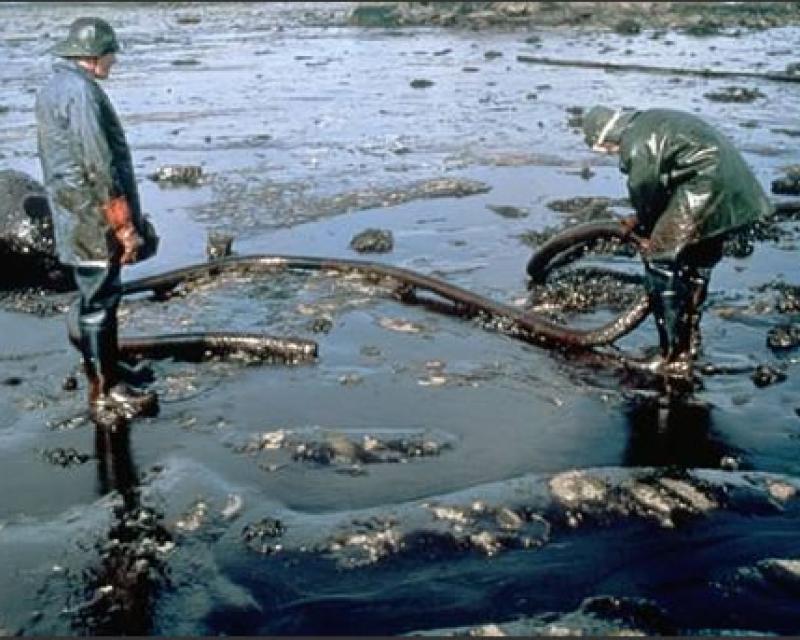 Bassanonet.it La corsa alla green economy