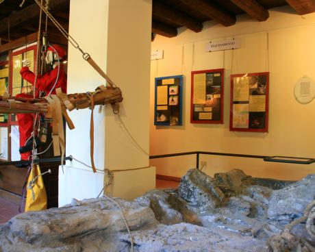 Bassanonet.it II Giornata Provinciale dei Musei