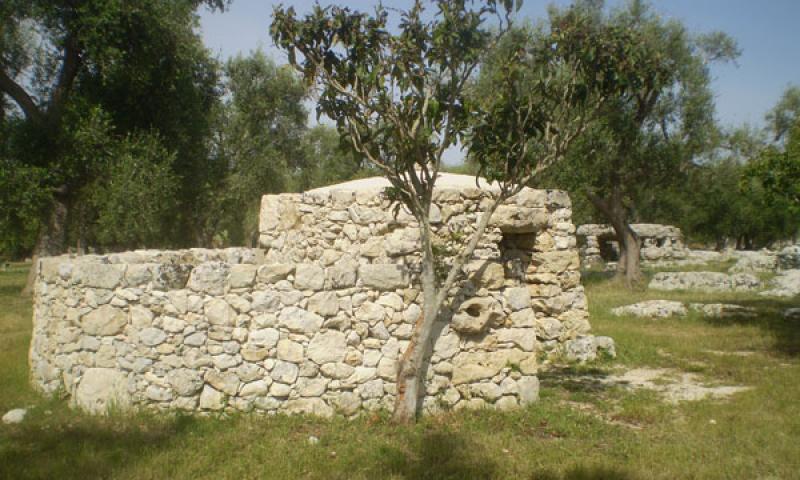 Bassanonet.it - Una tipica