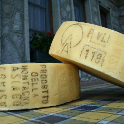 Bassanonet.it Dieci anni di formaggio sotto il cielo di Asiago