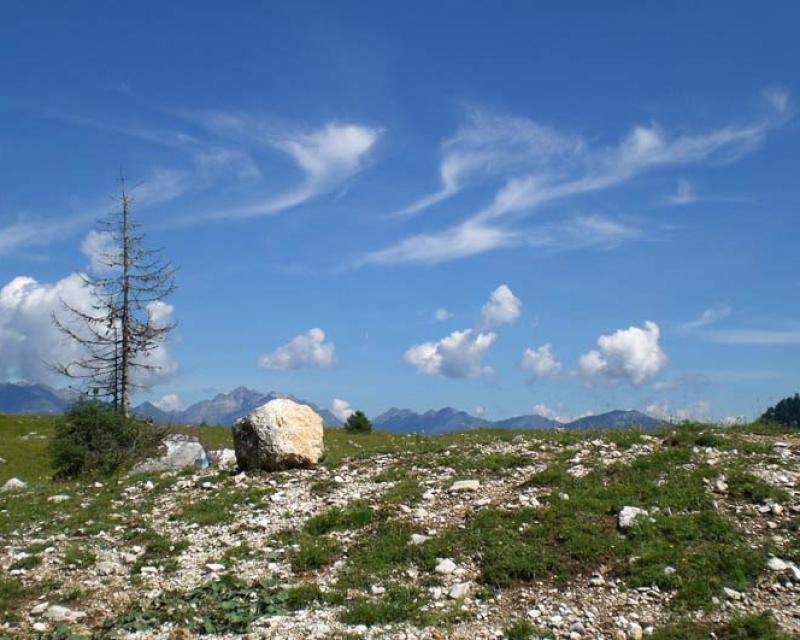 Bassanonet.it Filò in malga con Diego Dalla Palma