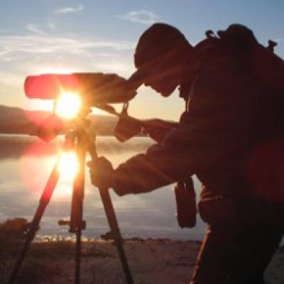 Bassanonet.it “Birdwatching” in Regione