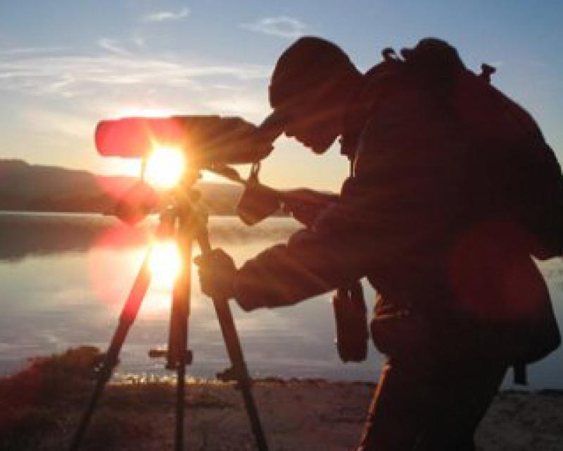 Bassanonet.it “Birdwatching” in Regione