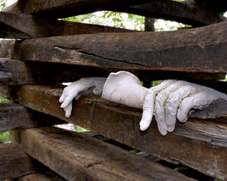 Bassanonet.it Incontri al Parco del Sojo