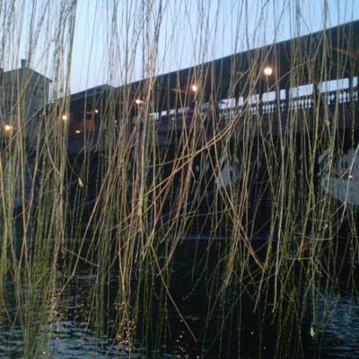 Bassanonet.it Ritorna la “Cena sul Ponte”