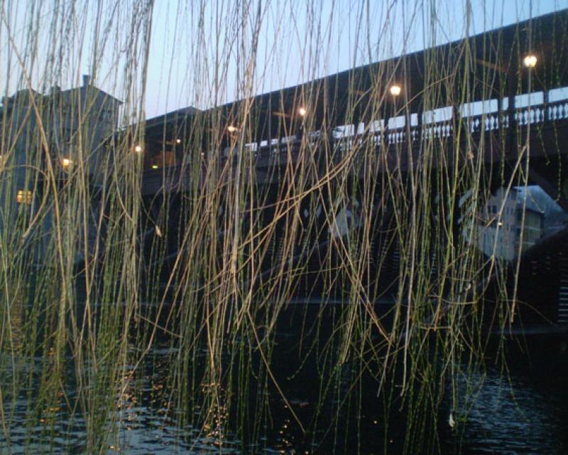 Bassanonet.it Ritorna la “Cena sul Ponte”