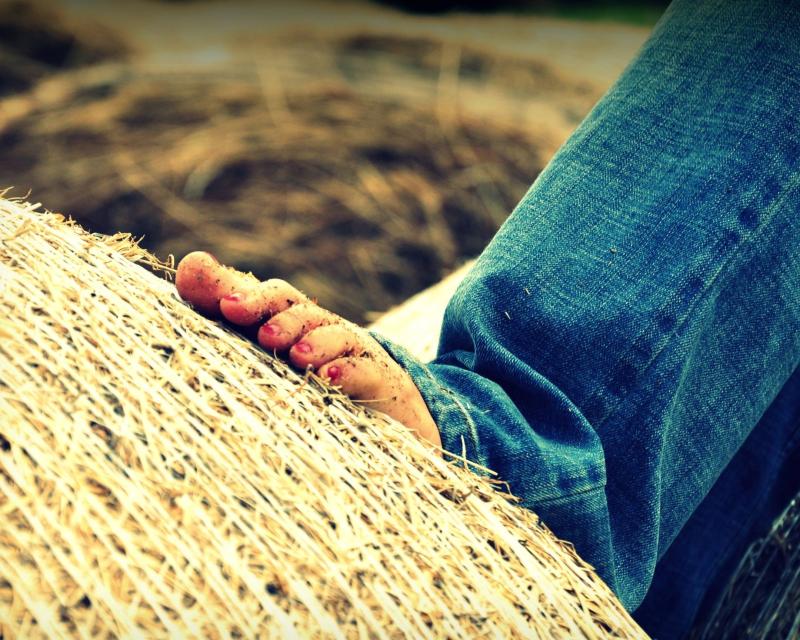 Bassanonet.it Appuntamento con Miss Con Fondo