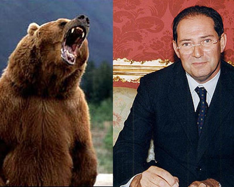 Bassanonet.it Sull'orso Dino lo scudo di Galan