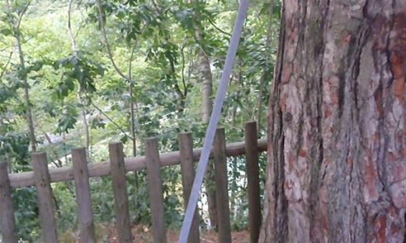 Bassanonet.it - Palo abbandonato