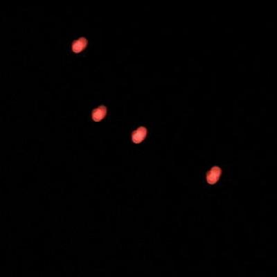 Bassanonet.it “Ufo” su Bassano