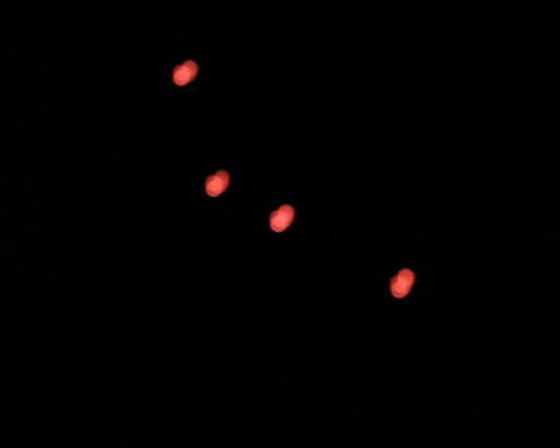 Bassanonet.it “Ufo” su Bassano
