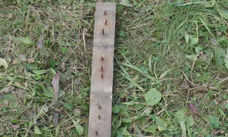 Bassanonet.it - Asse di legno con chiodi arrugginiti