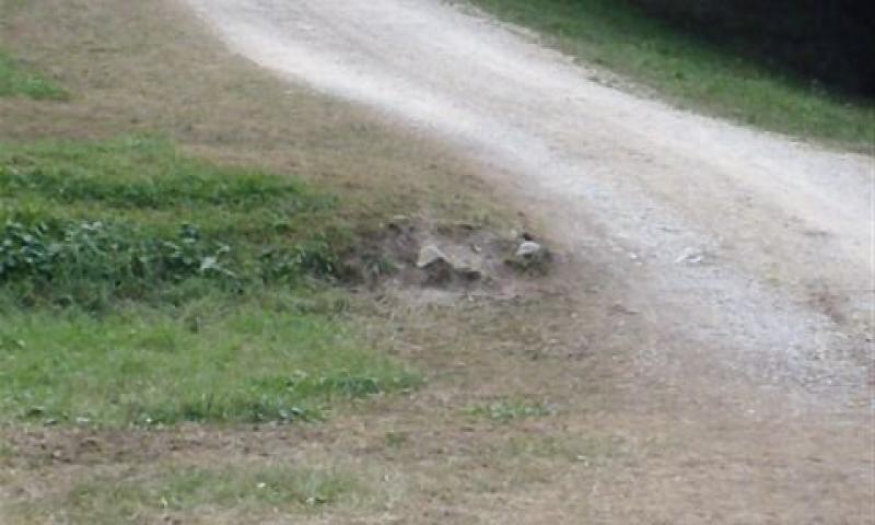 Bassanonet.it - Come e' adesso il parco