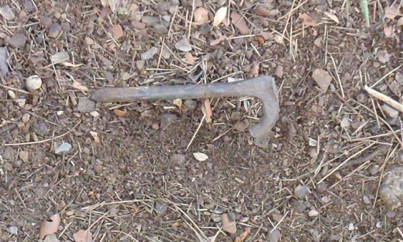 Bassanonet.it - Chiodo arrugginito