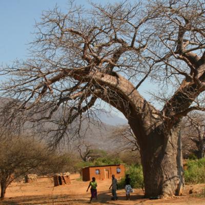 Bassanonet.it A tu per tu con Giovanni Viale