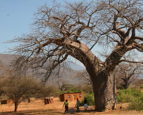 Bassanonet.it A tu per tu con Giovanni Viale
