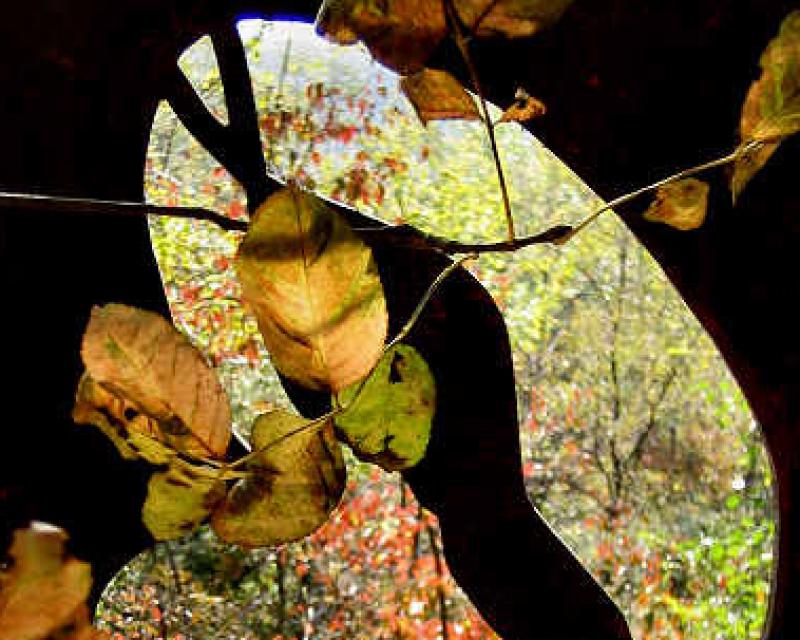 Bassanonet.it Il Veneto... ti strega