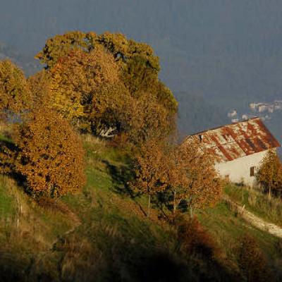 Bassanonet.it La biodiversità sull'Altopiano