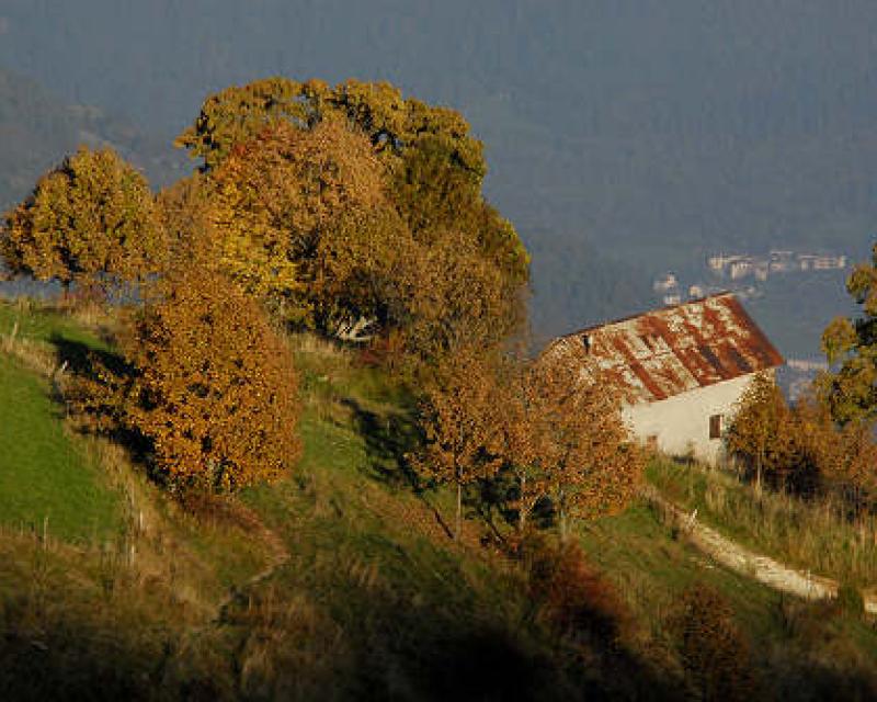 Bassanonet.it La biodiversità sull'Altopiano