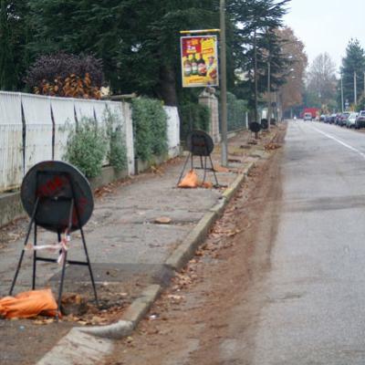 Bassanonet.it “Inderogabile la costituzione di una Consulta per il Verde Pubblico”
