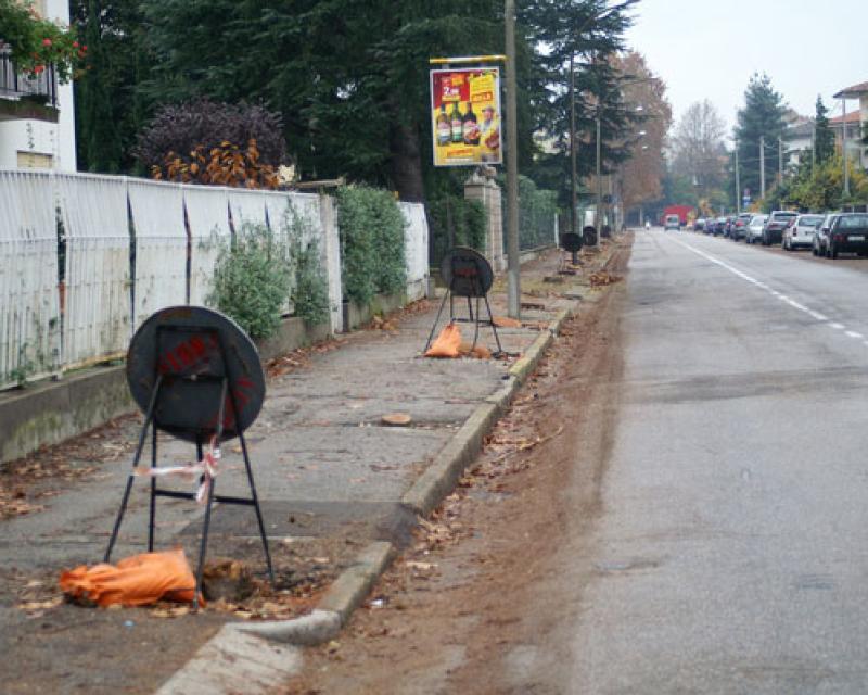 Bassanonet.it “Inderogabile la costituzione di una Consulta per il Verde Pubblico”