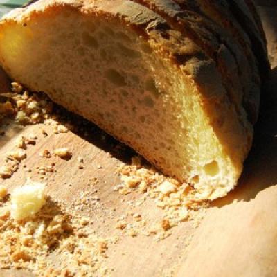 Bassanonet.it Libri come il pane