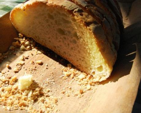 Bassanonet.it Libri come il pane