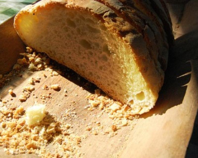 Bassanonet.it Libri come il pane