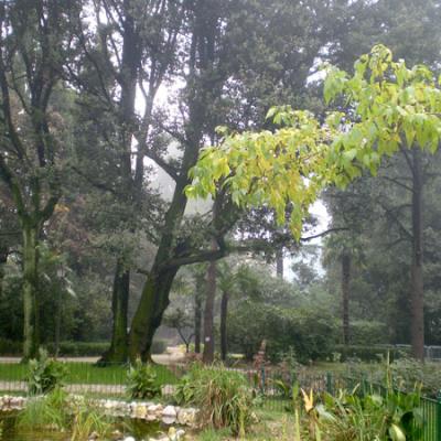 Bassanonet.it La S.I.S., il giardino e i parcheggi