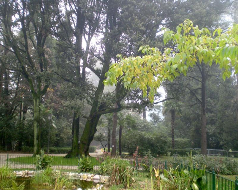 Bassanonet.it La S.I.S., il giardino e i parcheggi