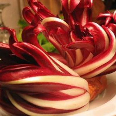 Bassanonet.it Il fiore d’inverno