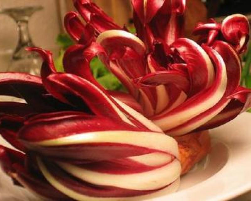 Bassanonet.it Il fiore d’inverno