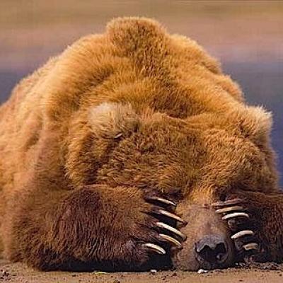 Bassanonet.it Man of the Year