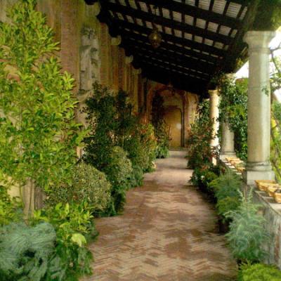Bassanonet.it Le piante del Natale in Museo