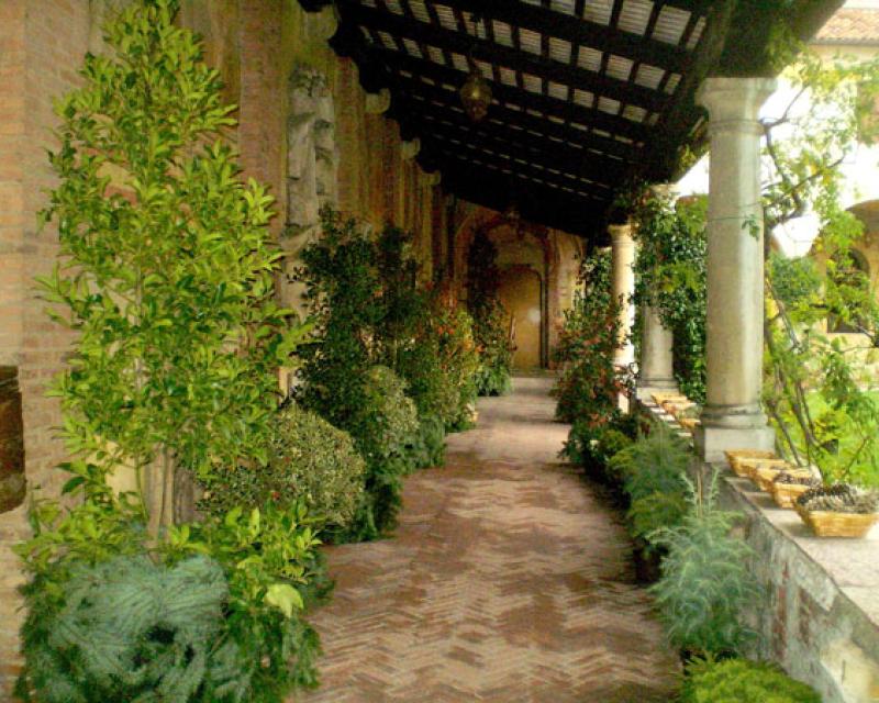 Bassanonet.it Le piante del Natale in Museo