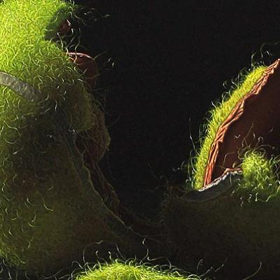 Bassanonet.it “Politicanti, avete rotto le palle!!!”