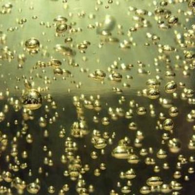 Bassanonet.it Finché c'è prosecco c'è speranza