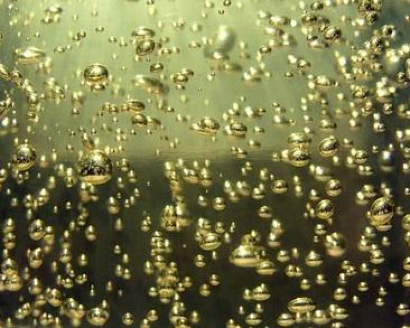 Bassanonet.it Finché c'è prosecco c'è speranza