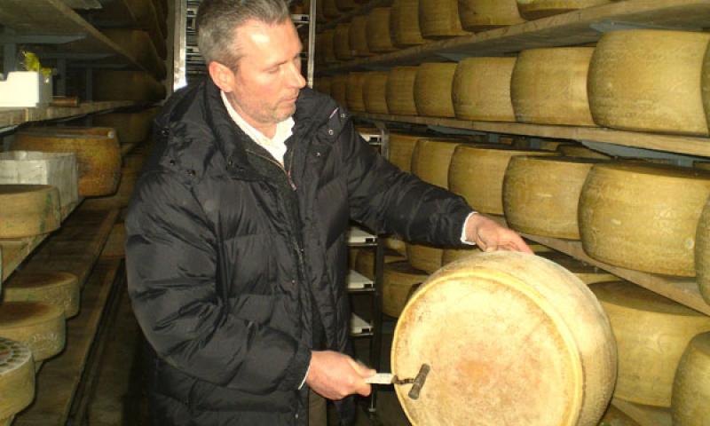 Bassanonet.it - Il mastro casaro in azione