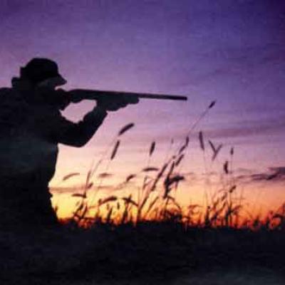 Bassanonet.it Caccia: Bassano Fiere nel “mirino” della LAV