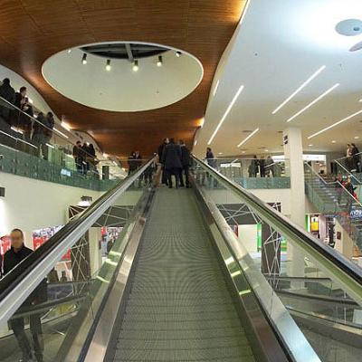 Bassanonet.it La leggenda del Grifone