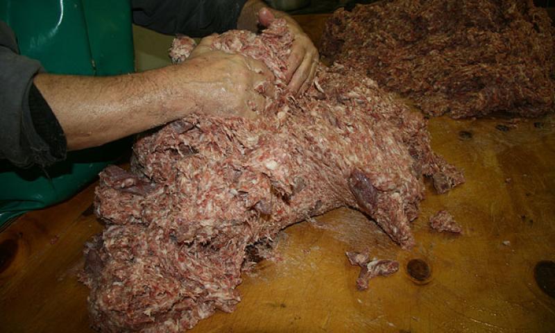 Bassanonet.it - Massa tritata