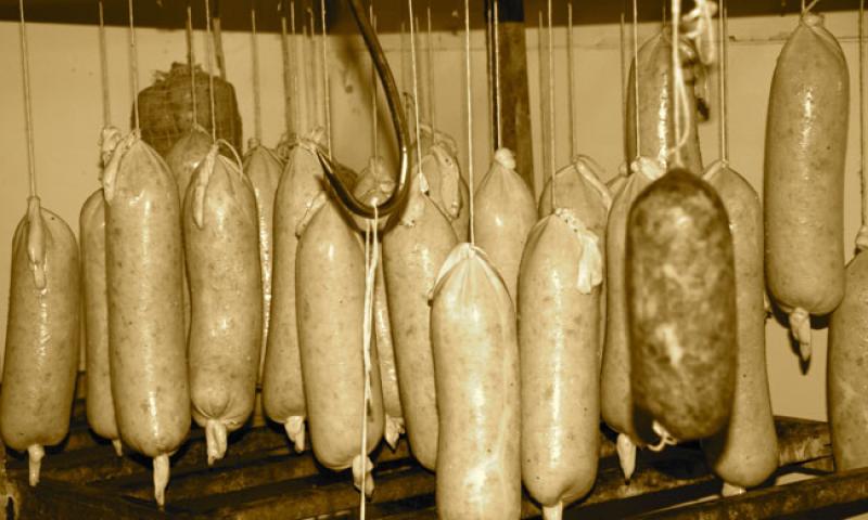 Bassanonet.it - Esposizione