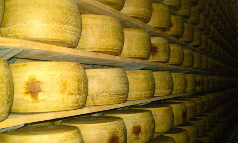 Bassanonet.it - Grana Padano in stagionatura
