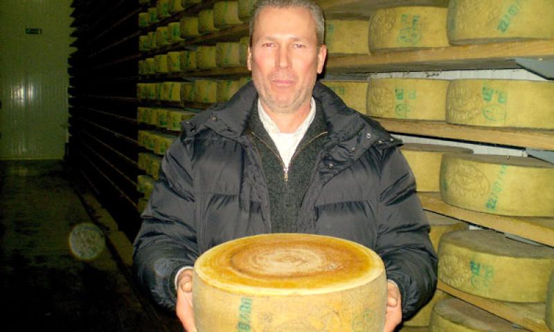 Bassanonet.it - Il mastro casaro Gino Antonello con una forma di Collina Veneta