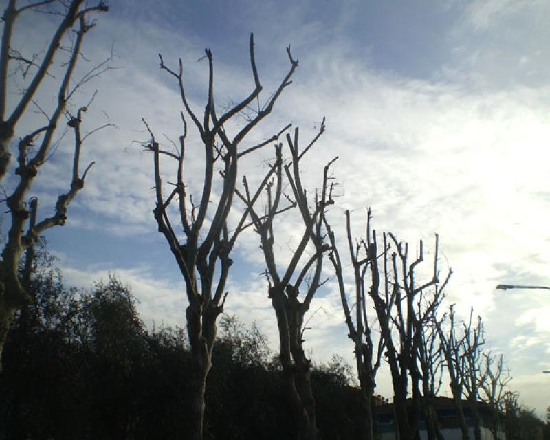 Bassanonet.it Pota pota